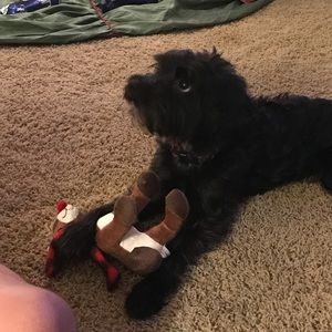 Meet your Posher, Denise